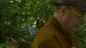 Hot young brunette Ally Style finds a oldie to fuck at picnic