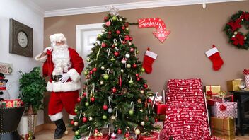 Alexis Fawx, Sophia Leone in Sneaky Santa