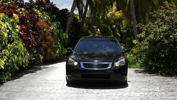 Alana Cruise in Savannah On Fire